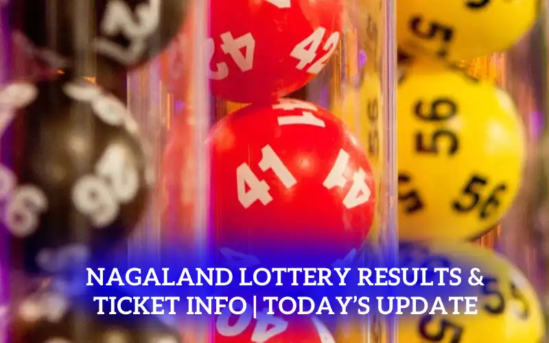 Nagaland Lottery Results & Ticket Info